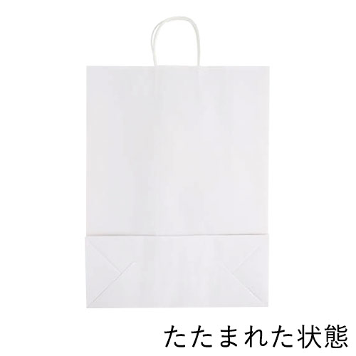 ギフト用や持ち帰りに！同シリーズ最大丈の大型で、軽量タイプの手提げ紙袋