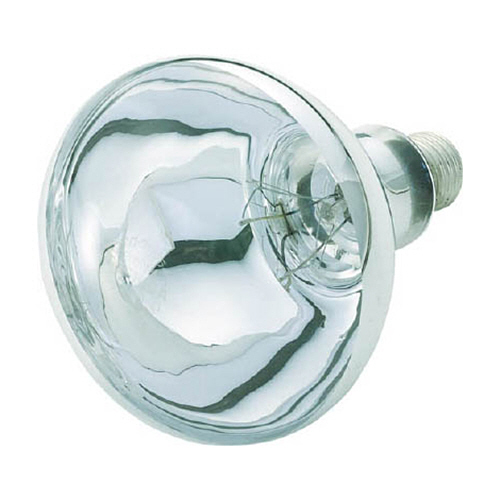 日幸 ﾚﾌﾗﾝﾌﾟ220V 1個