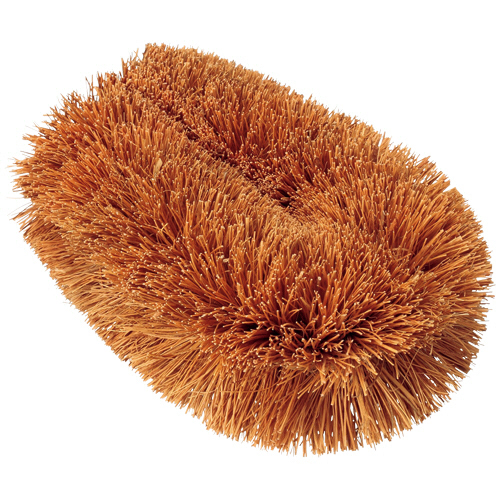 ﾊﾟｰﾑたわし 中型 1個画像