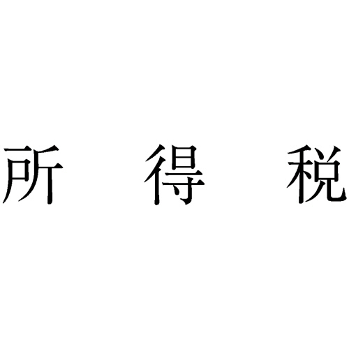 勘定科目印 509 所得税 1個画像