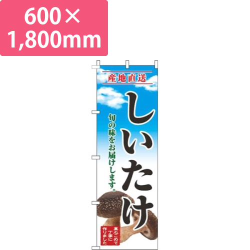 しいたけ青空明画像