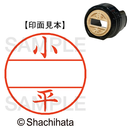ﾃﾞｰﾀｰﾈｰﾑEX12号 ﾏｽﾀｰ部(印面) 既製 小平 1個画像