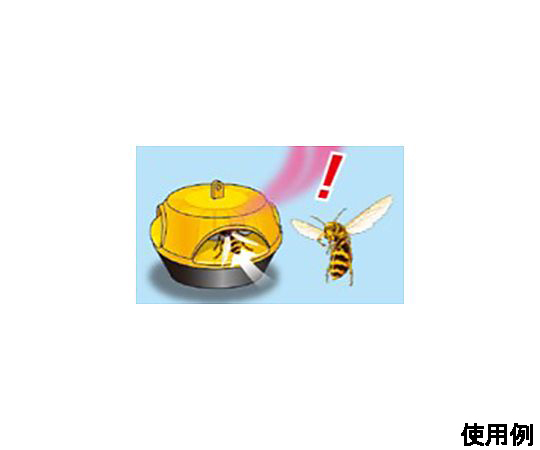 スズメバチ駆除剤(ハチの巣コロリ/2個) パッケージが斜めから撮影され、2個のボトルが並べられている様子
