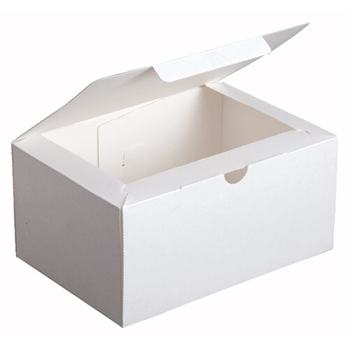 エコ洋生＃５画像