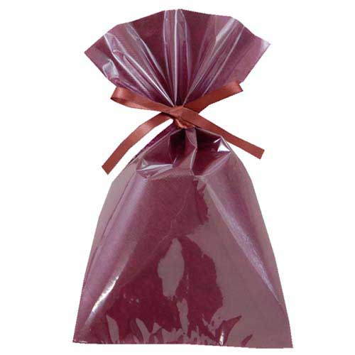 ソフトバッグクリア 2穴リボン巾着 S4 ボルドー画像