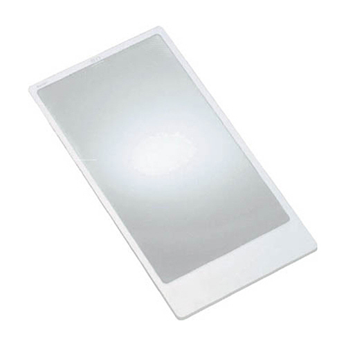 ｼｰﾄﾚﾝｽﾞ 1個画像