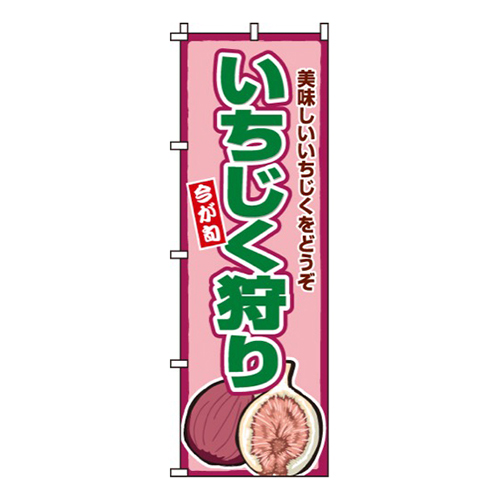 いちじく狩り画像