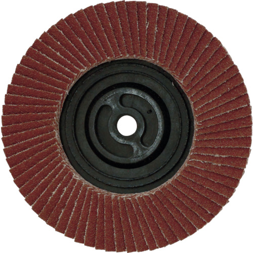 ｻｲｸﾛﾝｱﾗﾝﾀﾞﾑ外径100ΦM10穴100# 1個画像