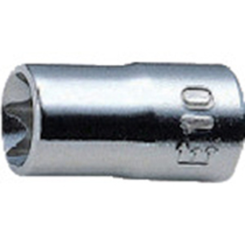 ﾄﾙｸｽｿｹｯﾄ 1個画像