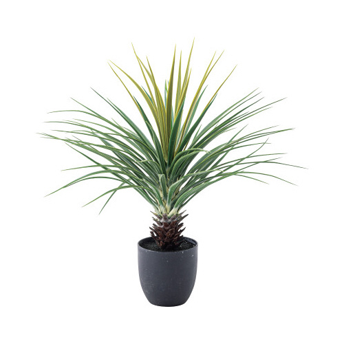 フェイクグリーン　ミニパイナップル