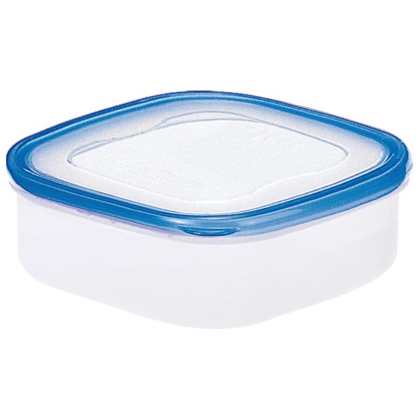 保存容器 パッセハード WS-1 CB リス画像