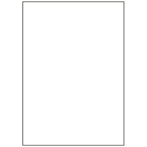 ﾏﾙﾁﾌﾟﾘﾝﾀ帳票 FSC森林認証紙 複写 A3ﾉｰｶｰﾎﾞﾝ 白紙 1冊(100枚)