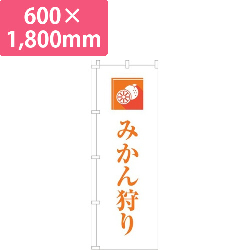 みかん狩り文字オレンジ画像