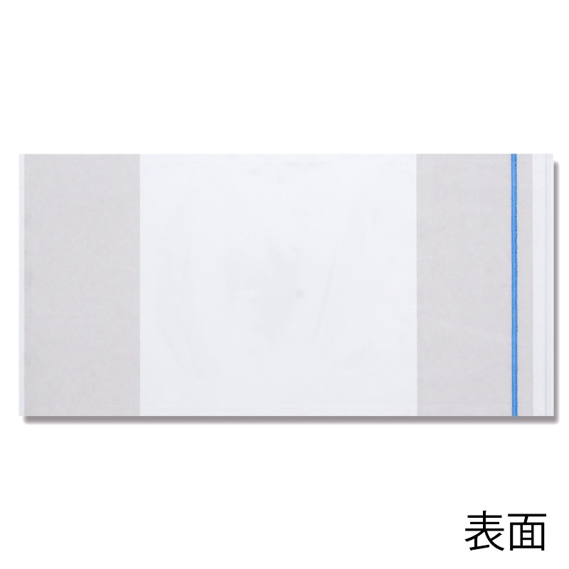 デリバリーパック　Ｔ－６　１００枚画像