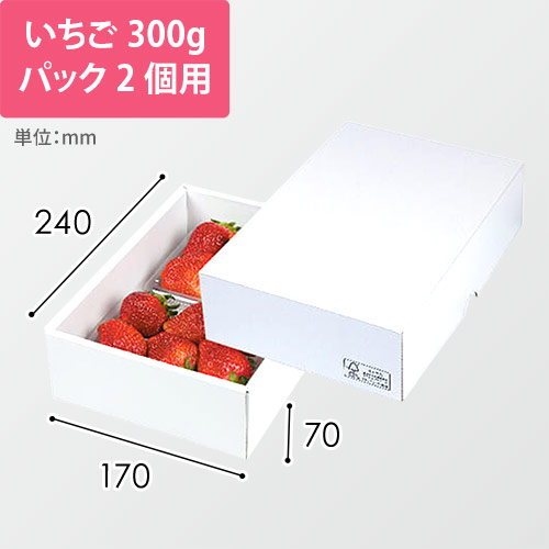 パール２１　ＦＳ画像