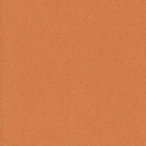 ﾆｭｰｶﾗｰR 四つ切 おうどいろ 1ﾊﾟｯｸ(100枚)画像