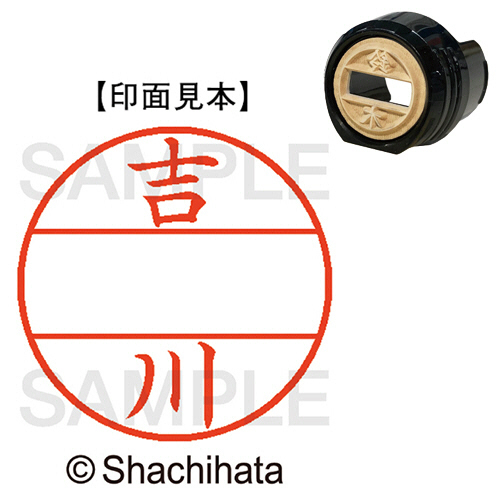 ﾃﾞｰﾀｰﾈｰﾑEX12号 ﾏｽﾀｰ部(印面) 既製 吉川 1個画像