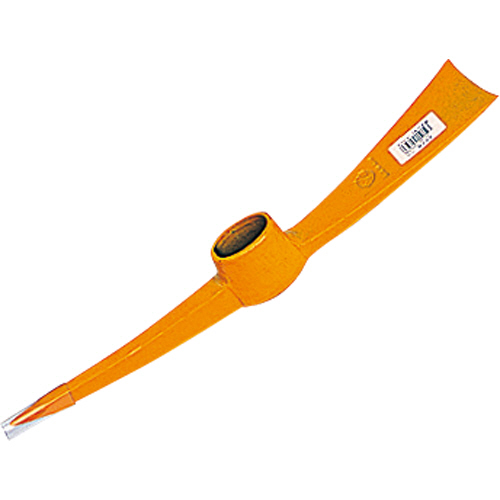 ﾊﾞﾁﾂﾙ頭のみ 1.5kg 1本画像