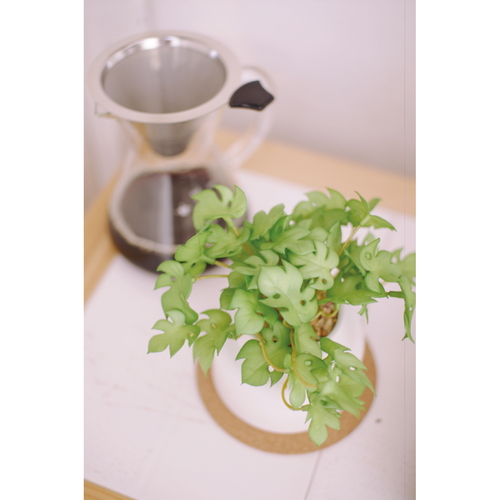 フェイクグリーン　モンステラ　S　人工観葉植物　エクリア 緑色の葉が広がり、立体感が感じられる配置
