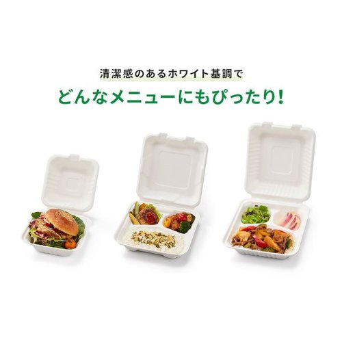 弁当容器 新ABランチ200-220-3 パックスタイル 透明プラスチック製の容器が横から見える状態