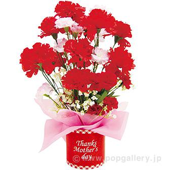 母の日カーネーションスタンド画像