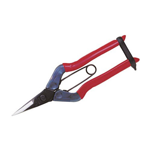 ﾁｶﾏｻ 摘果鋏 1個画像