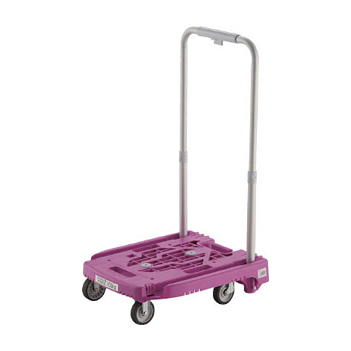 ｱｲﾄﾞﾙｷｬﾘｰ weego 省音G車輪 ﾗﾍﾞﾝﾀﾞｰ 1台