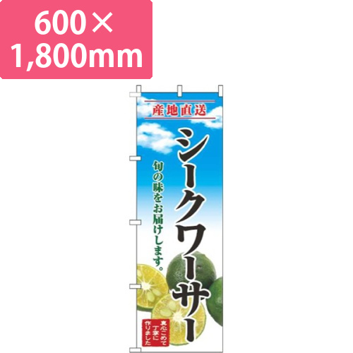 シークワーサー青空明画像