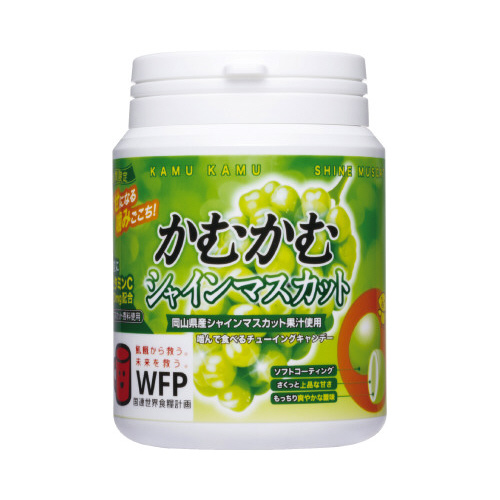 かむかむシャインマスカット　１２０ｇボトル　１個