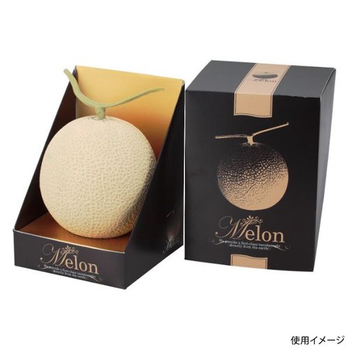 ギフト箱 L-2210 メロン飾1ヶ入ブラックL ヤマニパッケージ [ケース販売]