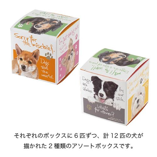贈答箱 CHRA-GS2 チャリティーアニマルアソートギフトボックス-S/犬(20枚) ヘッズ カラフルなパッケージが並ぶ様子、犬のイラストが描かれたデザイン
