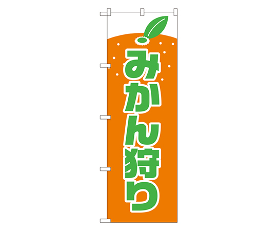 みかん狩り のぼり画像