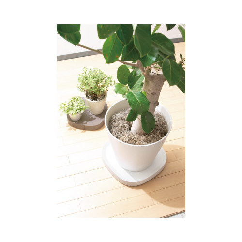 Plantable　L　ブラウン 丸みを帯びたシルエットのブラウンカラー、自然素材のテクスチャーが際立つ状態