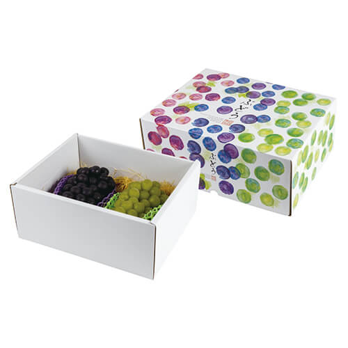 彩りぶどう大　身深画像