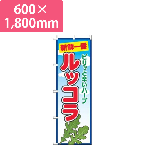 ルッコラ青空丸画像