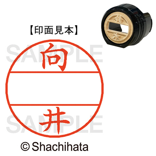 ﾃﾞｰﾀｰﾈｰﾑEX12号 ﾏｽﾀｰ部(印面) 既製 向井 1個画像