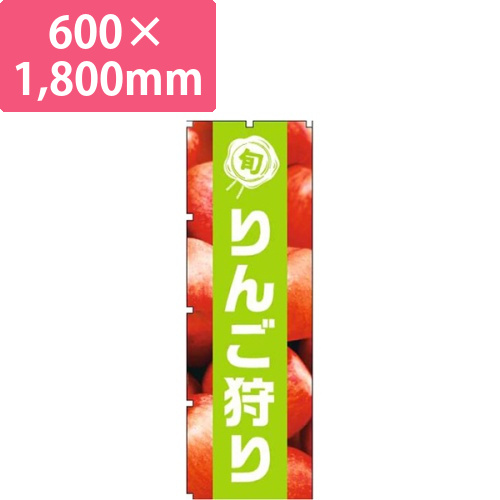 りんご狩り写真黄緑帯画像