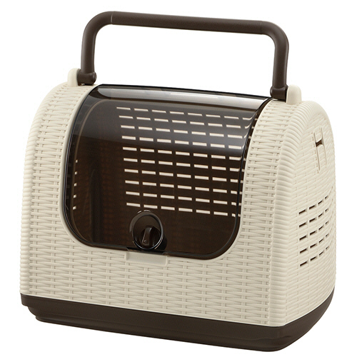 ﾗﾀﾝｷｬﾘｰ ｱｲﾎﾞﾘｰ 1個画像