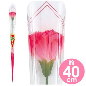 ピンクカーネーションかすみラップ（中）画像