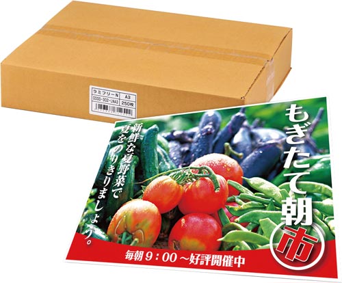 ラミフリーＡ３　２５０枚入