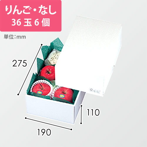 パール１１　ＦＳ画像