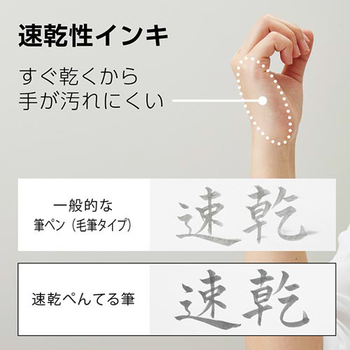 速乾ぺんてる筆　カートリッジ　うす墨　10セット 商品が横向きに並んでおり、それぞれのキャップが明るい色で区別されている様子。
