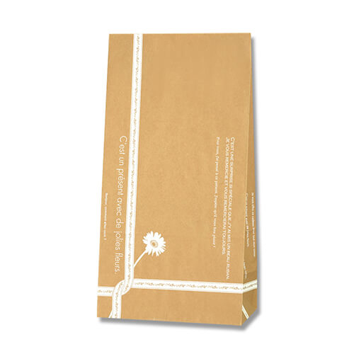 角底袋（ルバン・幅150×マチ90×高280mm)画像