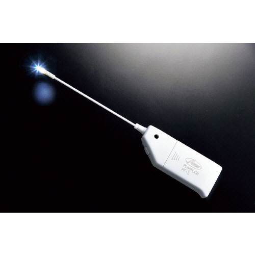 ﾌﾟﾚｲﾝﾍﾞｱ ﾎﾟｲﾝﾄﾌﾗｯｼｭ 1個