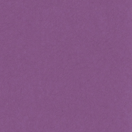 ﾆｭｰｶﾗｰR 四つ切 むらさき 1ﾊﾟｯｸ(100枚)画像