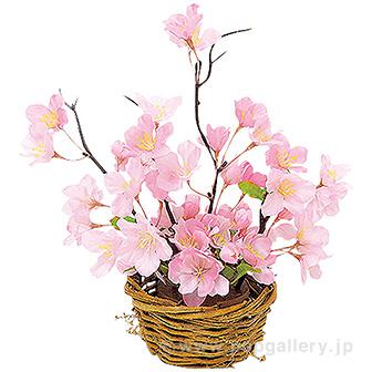 山桜アレンジバスケット画像
