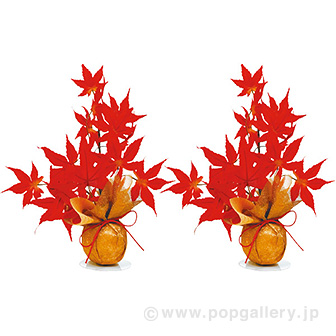もみじボールラッピングセット画像