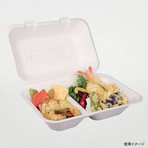 弁当容器 新ABランチ240-150-2 パックスタイル 透明なパッケージに収められた、鮮やかな色合いの仕切り付き弁当容器
