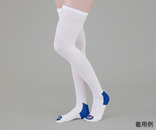 弾性ストッキング（滑り止め付）　ストッキング　L画像