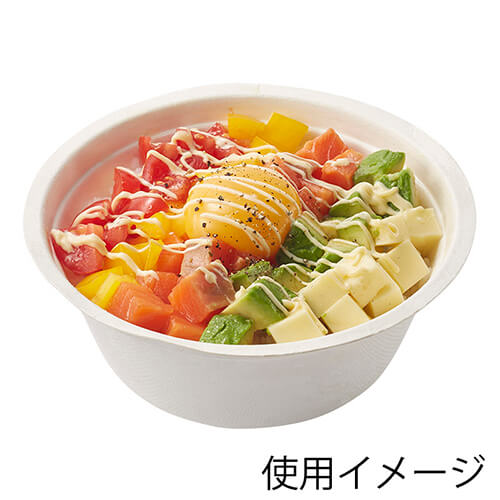 HEIKO 丼容器 業務用バガスペーパーウェア どんぶり 600ml ND15F 50枚画像